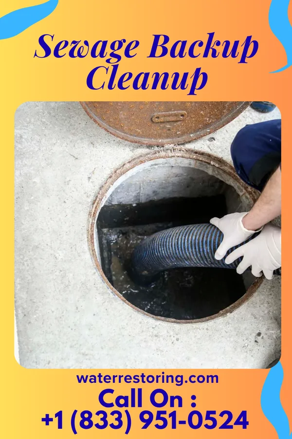 Sewage Backup Cleanup in Somerville, TN